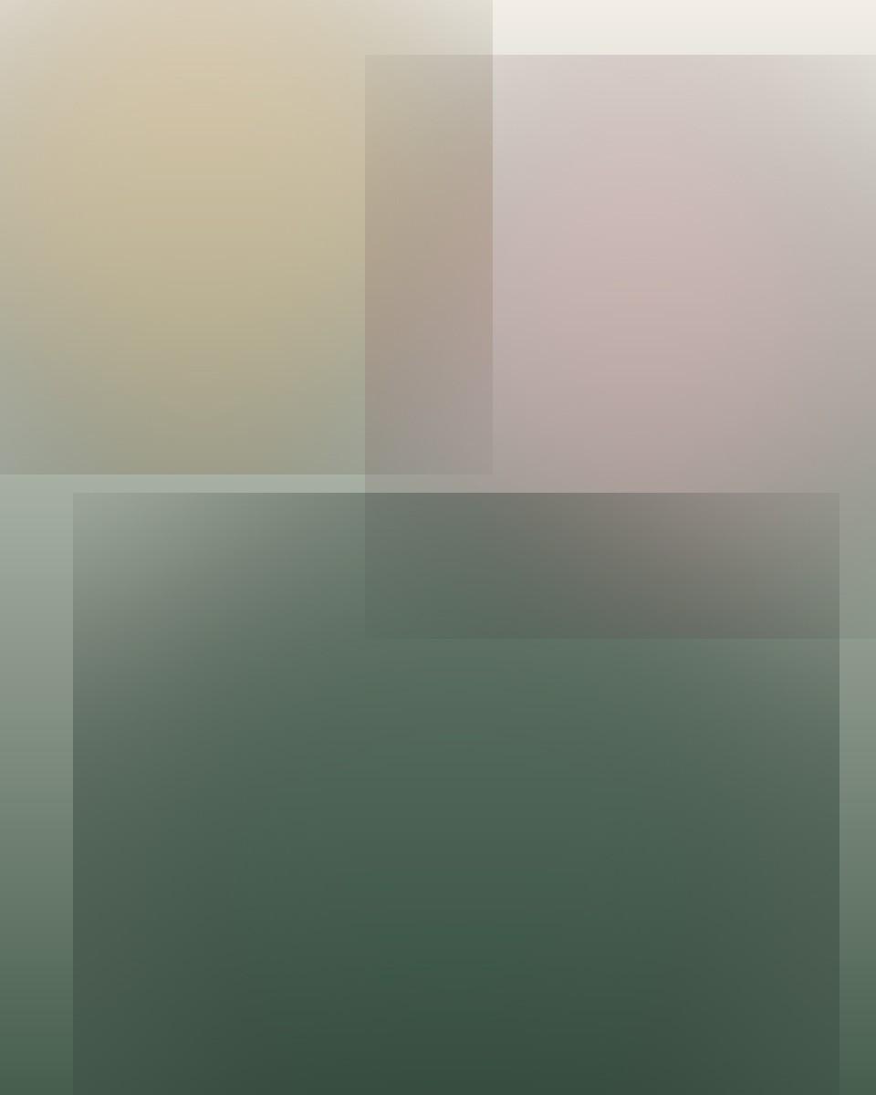 Abstract floral composition representing Bhagwati's carnation arrangements